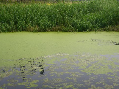深圳水質(zhì)檢測 深圳水質(zhì)檢測