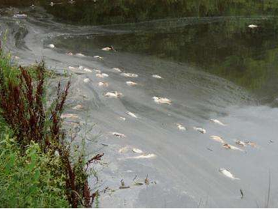 深圳水質(zhì)檢測機構(gòu) 深圳水質(zhì)檢測機構(gòu)